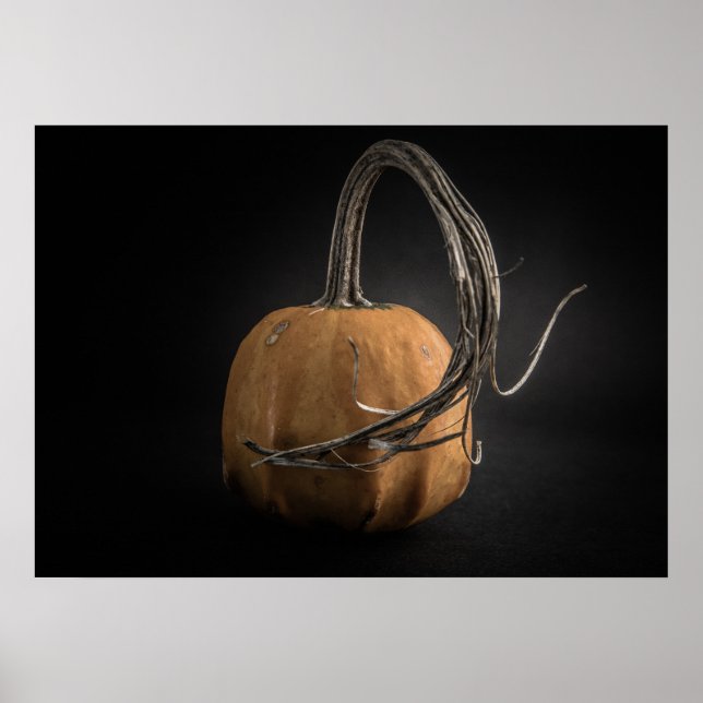 Affiche Citrouilles N° 14 Version couleur (Devant)