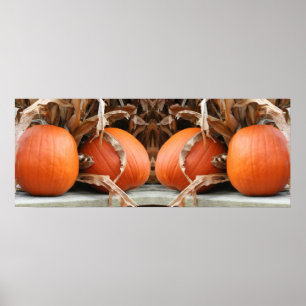 Affiche Citrouilles Tiges de Maïs Séchées Miroir Abstrait