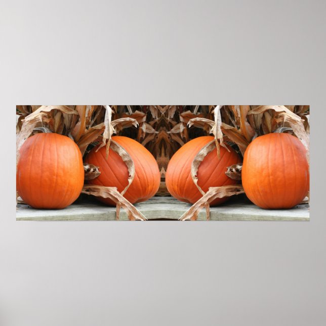 Affiche Citrouilles Tiges de Maïs Séchées Miroir Abstrait (Devant)
