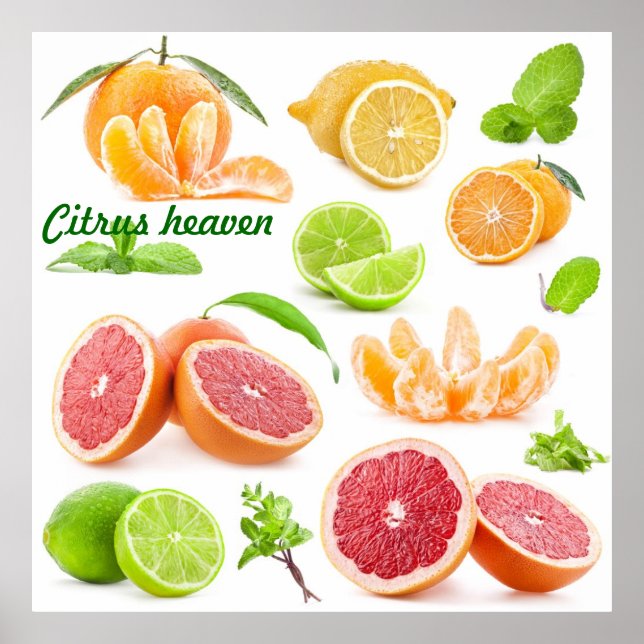 Affiche Citrus paradis pour les amateurs de fruits (Devant)