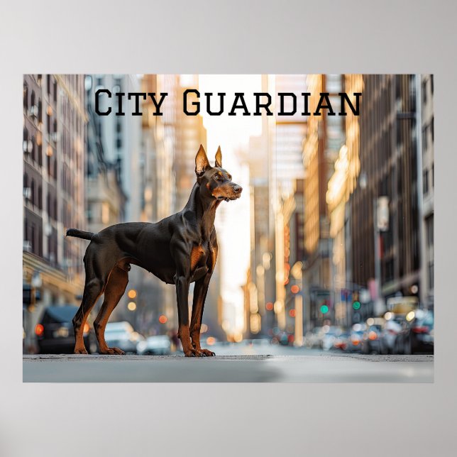 Affiche City Sentinel : Doberman dans la jungle urbaine (Devant)