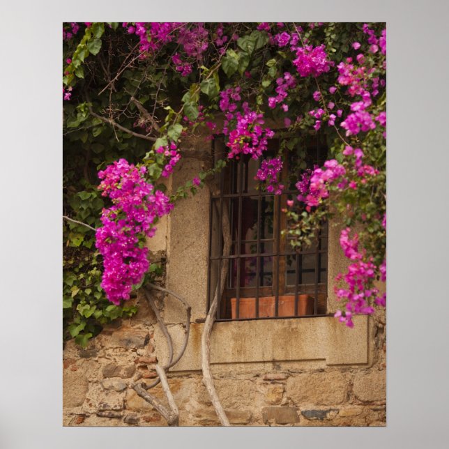 Affiche Ciudad Monumental, flower-covered buildings (Devant)