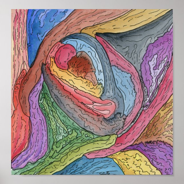 Affiche Clam Claw (Devant)