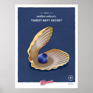 Affiche Clam Shell WBB