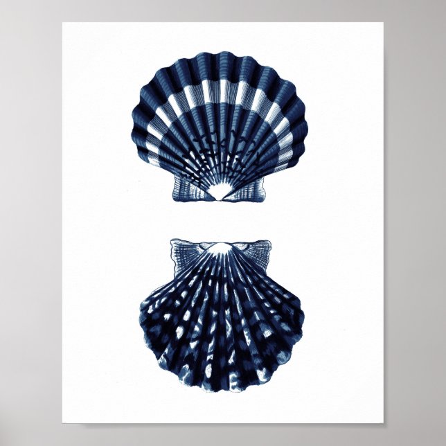 Affiche Clam Shells Décor de plage bleu marine (Devant)