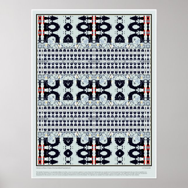 Affiche Clarity is a Piece of Static (Devant)