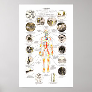 Affiche Clark Dental Health Chart pour dentiste