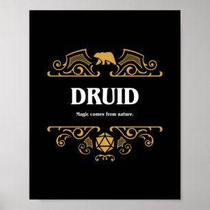 Affiche Classe Druid Jeu RPG Tabletop