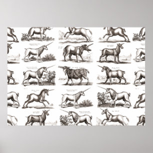 Affiche Classique Unicorne Antique Mythique Magie Créature