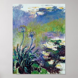 Affiche Claude Monet - Agapanthus,
