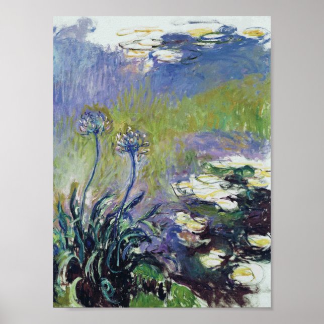 Affiche Claude Monet - Agapanthus, (Devant)