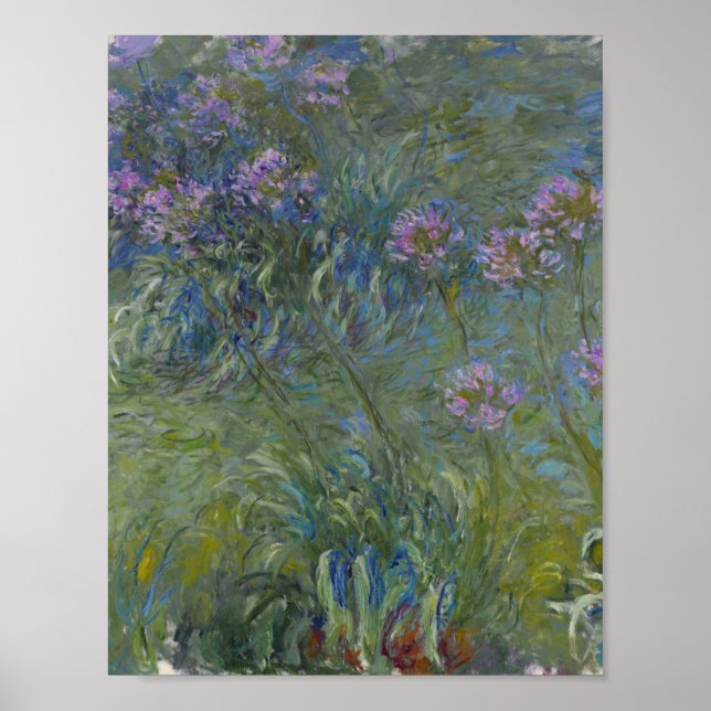 Affiche Claude Monet - Agapanthus (Devant)