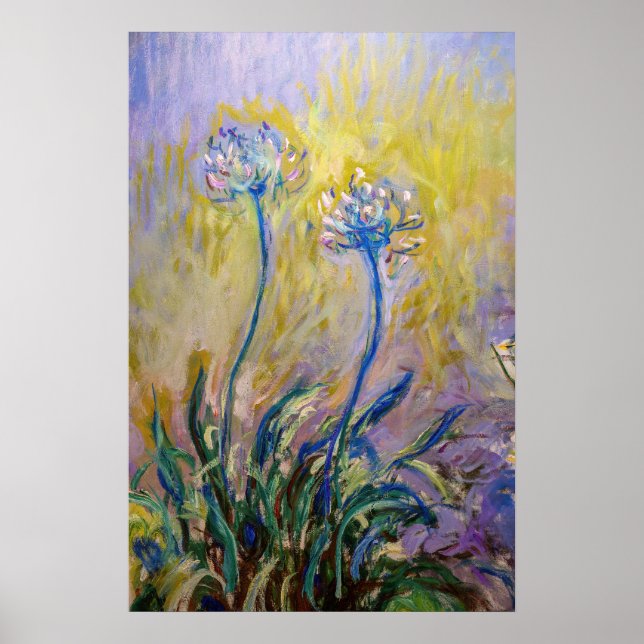 Affiche Claude Monet - Agapanthus (Devant)
