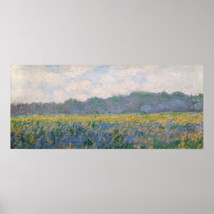 Affiche Claude Monet - Champ d'iris jaunes à Giverny