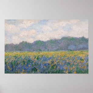 Affiche Claude Monet - Champ d'iris jaunes à Giverny