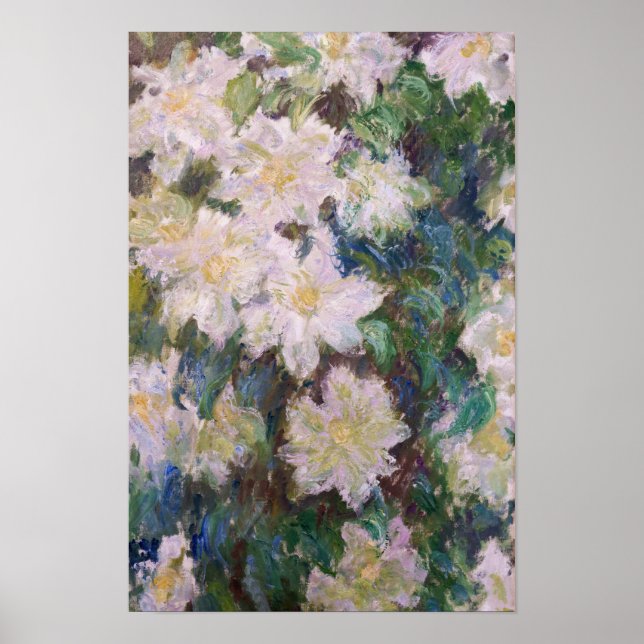 Affiche Claude Monet - Clématite Blanche (Devant)