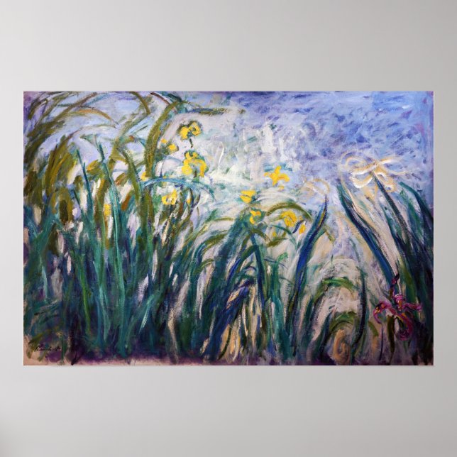 Affiche Claude Monet - Iris jaunes et mauves (Devant)