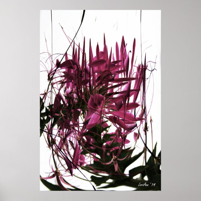 Affiche Clé compressé (Devant)