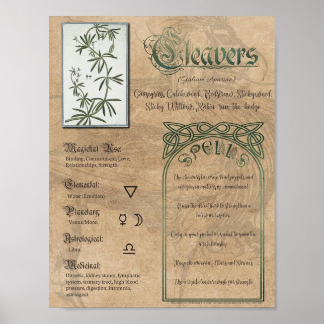 Affiche Cleavers Livre de plantes ombres Pagan Wiccan (Devant)