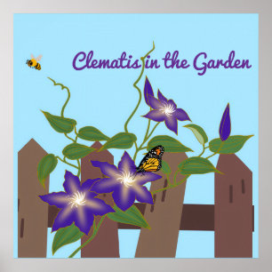 Affiche Clématite dans le jardin