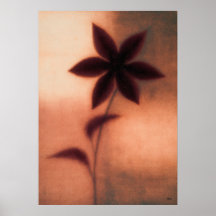 Clématite Tessen Abstraction Florale Japonaise