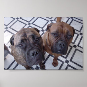 Affiche Cleo et Luna