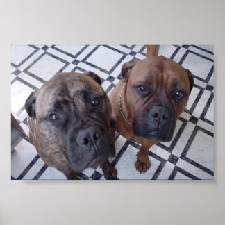 Affiche Cleo et Luna