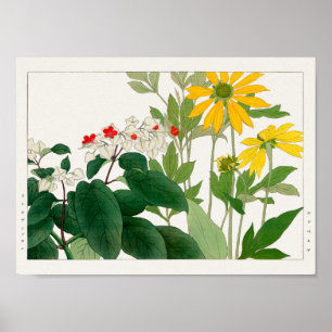 Affiche Clerodendrum thomsoniae, Rudbeckia, Tanigami Konan