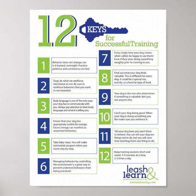 Affiche Clés pour l'affiche d'entraînement de chien réussi (Devant)
