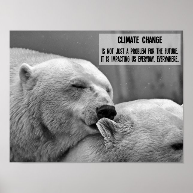 Affiche Climate change black and white with polar bears (Devant)