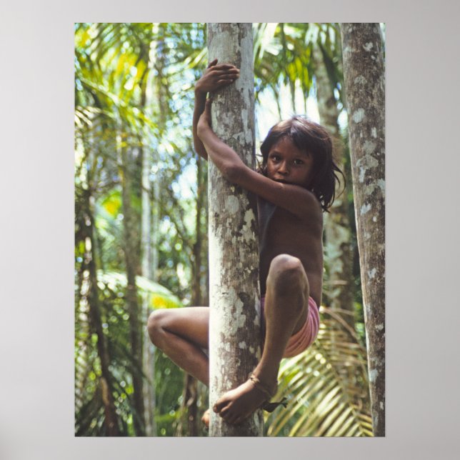 Affiche Climbing Trees. (Devant)