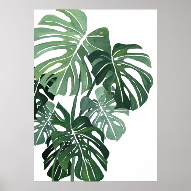 Affiche Closeup feuille Monstera (Devant)
