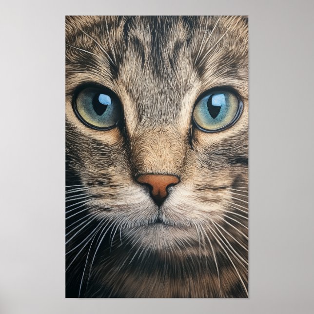 Affiche Closeuse de chat de tabby gris (Devant)