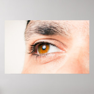 Affiche Closeuse oculaire humain