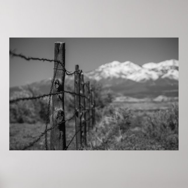 Affiche clôture (Devant)