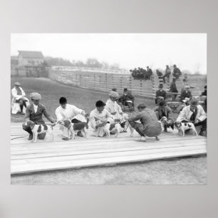 Affiche Club national de beagle de l'Amérique, 1914