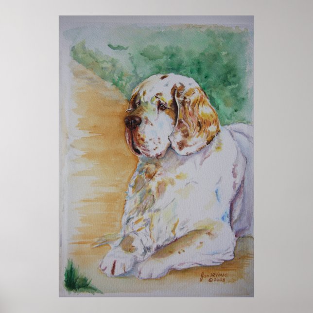Affiche Clumber Spaniel - Mon Ami Imprimer (Devant)