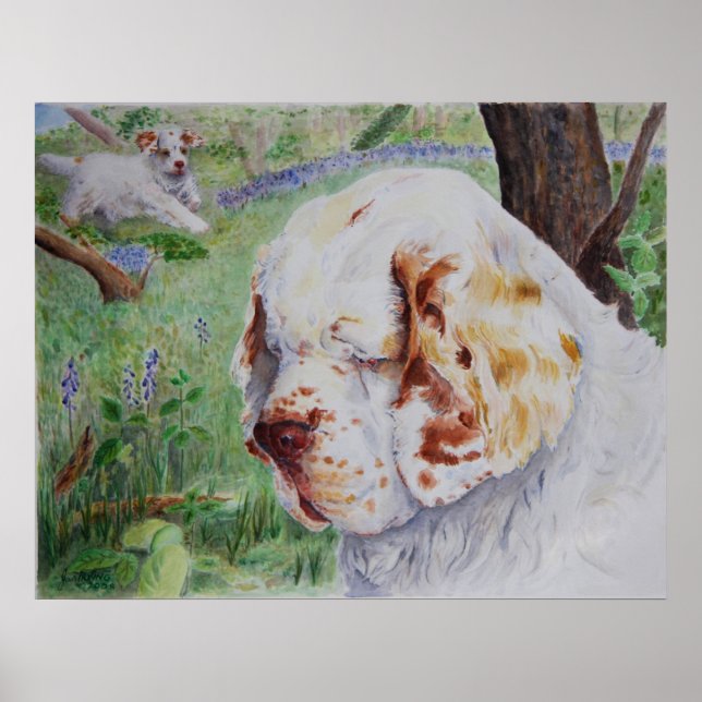 Affiche Clumber Spaniel - Spring Woodland print (Devant)
