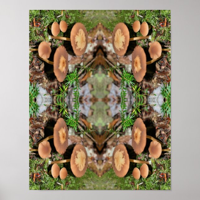 Affiche Cluster de champignons Brown sauvages Abstrait (Devant)