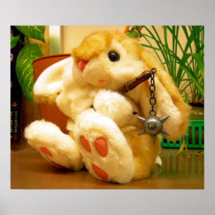 Affiche Clyde da Bunny