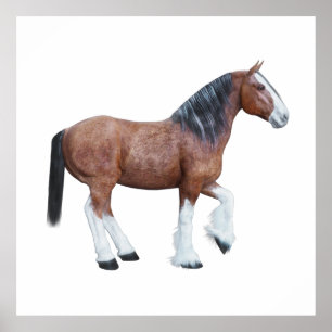 Affiche Clydesdale 3