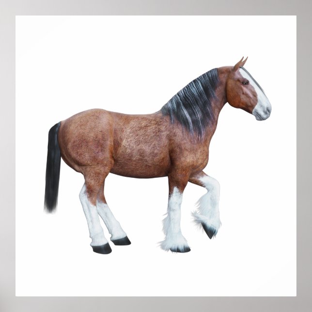 Affiche Clydesdale 3 (Devant)