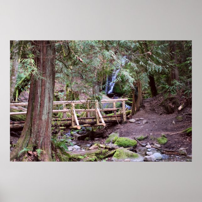 Affiche Coal Creek Falls Walking Bridge Imprimer (Devant)