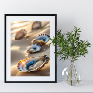 Affiche Coastal Wall Art Huster Shells sur l'affiche de bo