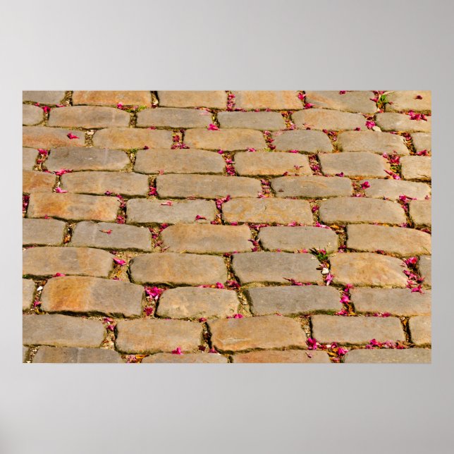 Affiche Cobblestone Walking Detail (Devant)