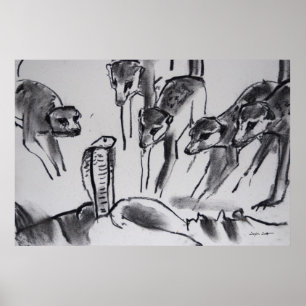 Affiche Cobra assaillant de Meerkats - copie d'art