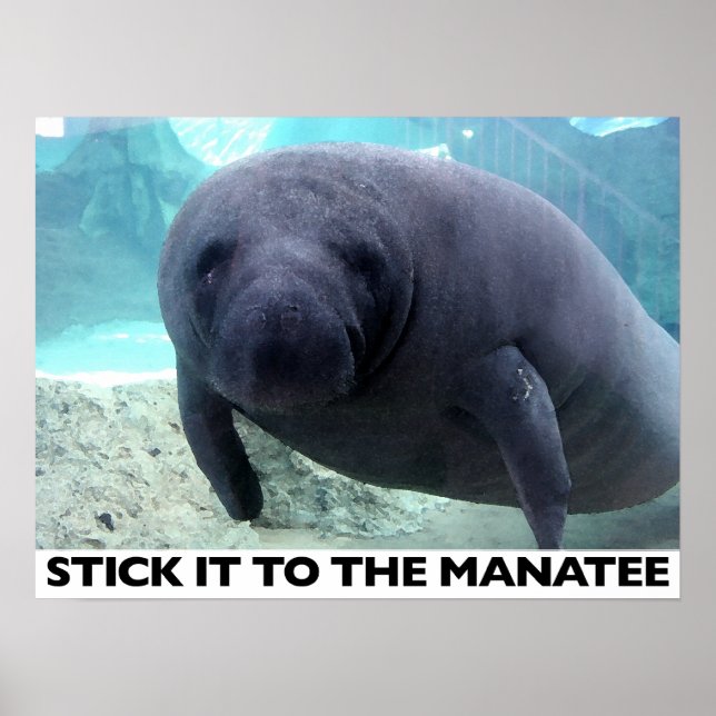 Affiche COCHEZ-LE SUR L'affiche MANATEE (Devant)