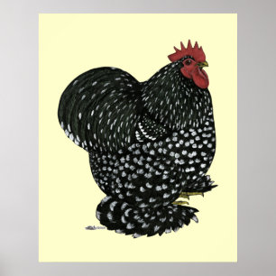 Affiche Cochin:  Black Mottle