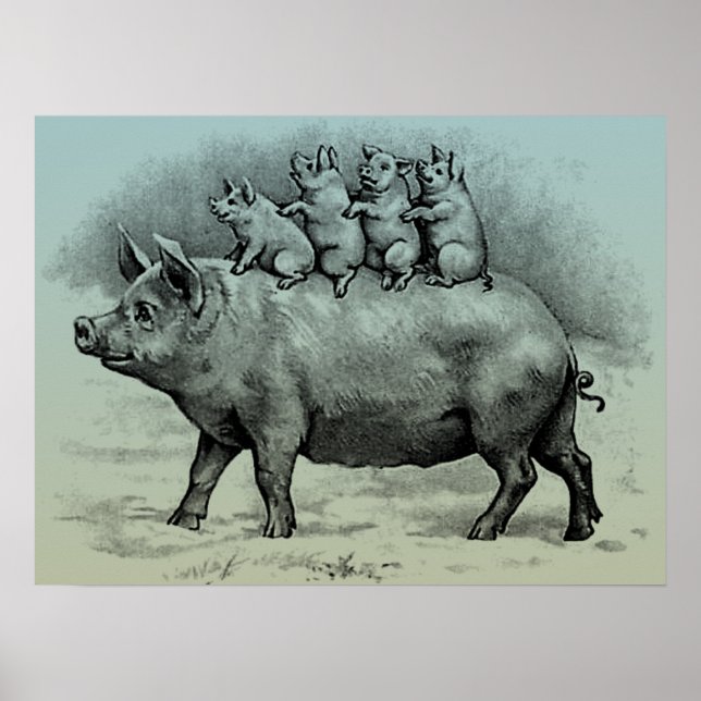 Affiche Cochon avec porcelet (Devant)