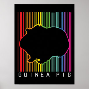 Affiche Cochon de Guinée